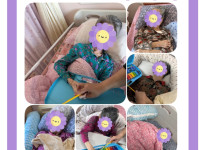 2025.12.05. 중증와상음악요법