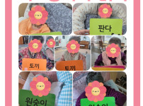 2025.12.03 중증와상동화책읽기 (동물카드읽기)