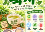 2026.09.10 미술요법