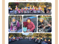 2025.11.26 원예요법