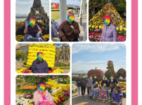 2025.11.06 아웃팅(국화축제)