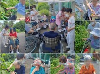 2022.07.07 원예요법